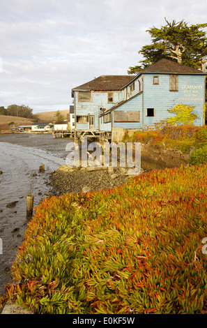 Un vieux bâtiment en bois sur la baie Tomales, Marshall, Californie, usine à glace au premier plan. Banque D'Images