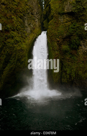 Wachlella Falls dans le comté de Multnomah, Oregon. Banque D'Images