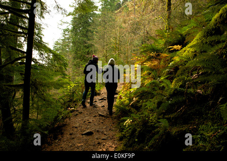 Quelques promenades le long d'un chemin forestier dans le paysage luxuriant de la gorge du Columbia dans l'Oregon. Banque D'Images