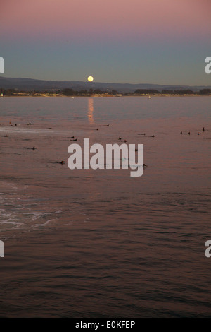 La pleine lune se lève au-dessus de l'océan Pacifique à Steamers, Santa Cruz tandis que les surfeurs attendre pour attraper une vague dans l'avant-plan. Banque D'Images