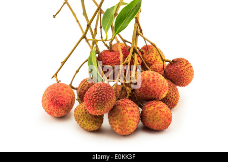 Litchi frais sur fond blanc Banque D'Images