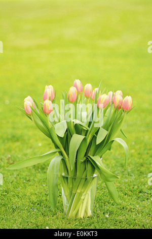 Tulipe rose dans le vase en verre sur l'herbe dans le jardin. Banque D'Images