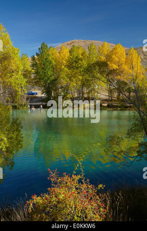 Ohau River à l'automne, près de Twizel, Mackenzie Country, île du Sud, Nouvelle-Zélande Banque D'Images