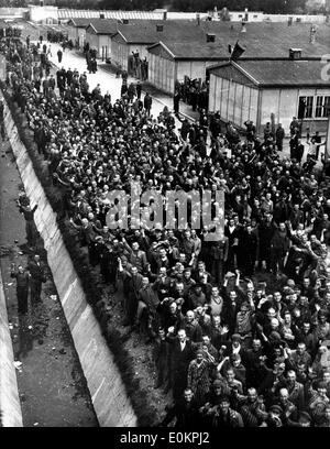 Prisonniers politiques cheer follement comme ils entendent canons de la 42e Division Arc-en-ciel à l'approche de Dachau Banque D'Images