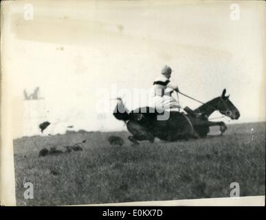 Avril 04, 1952 - Sarcelle gagne le Grand National. : Le Grand National à Aintree aujourd'hui a été remporté par M. H. Lane's Teal par cinq longueurs de Miss Dorothy Paget joie juridique, avec aucun tiers sun wot. Photo montre :- voyageur a la fierté, monté par L. Stephens, tombant pendant la course. Banque D'Images