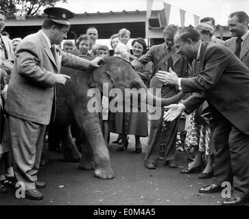 Lou Costello et Bud Abbott effectuer au zoo Banque D'Images