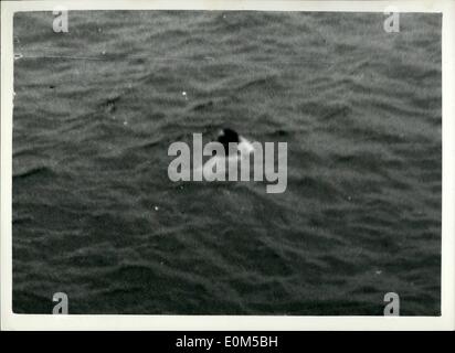 08 août, 1953 - 10 heures à flot. Sauvetage spectaculaire de survivant du crash de bombardiers américains Atom dans l'Atlantique. La photo montre la vue depuis le navire de recherche - le cargo ''MManchester Expéditeur'' - Le Sgt. Roy Spears - afleat encore après 10 heures dans l'eau. Le Sgt. Speers a été prise à bord du cargo après avoir été dix heures dans l'eau après avoir été dans l'American bombardiers Convair - Atom - plus grand avion - qui s'est écrasé dans l'Atlantique. Banque D'Images