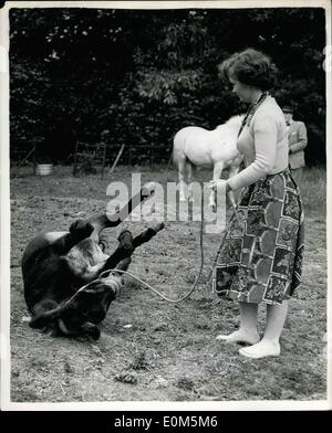 Juillet 14, 1953 - ''Neddy'' montre qu'il apprécie sa nouvelle hoe sa maîtresse est d'migrath : Dix-sept ans, Gillian dupes de pinner est bientôt à migrer au Canada avec ses parents et il était chef d'inquiéter que faire avec son âne ''Neddy'' et ''poney Titch'' dont elle a eu à toujours six vars. Le R.s.p.c.a. organisé fr Sussex frontière pour le reste de leurs jours. photo montre âne Neddy montre qu'il apprécie sa nouvelle maison - en roulant sur l'herbe - sur une arrivée à la ferme. Banque D'Images