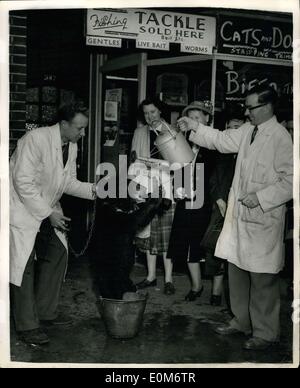 Septembre 18, 1953 - ''Biffo'' l'ours aime une baignoire et c'est dans la rue. : ''Biffo'' l'ours est très friands d'un bon bain et ainsi, lorsque des responsables de la Seigneurie Lane recreation ground a dit à son propriétaire Mme George Finnet de Tottenham qu'il ne pouvait pas utiliser recreation ground Boating Sondage pour son deux fois par semaine parce qu'il n'y avait pas de dip dans la disposition des textes d'application pour les ours de se baigner dans la piscine de plaisance qu'il avait une baignoire sur la chaussée dans un seau et des voisins considérés comme il avait sa douche en plein air. Banque D'Images