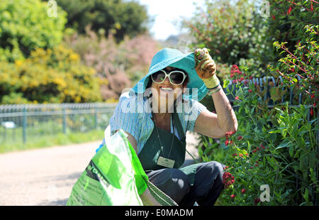 Brighton Sussex UK 16 mai 2014 - Eva un bénévole de jardinage dans la région de Pavilion Gardens Brighton bénéficie de l'ensoleillement et les températures devraient atteindre 23 degrés centigrades le beau temps devrait durer pendant le week-end. Banque D'Images