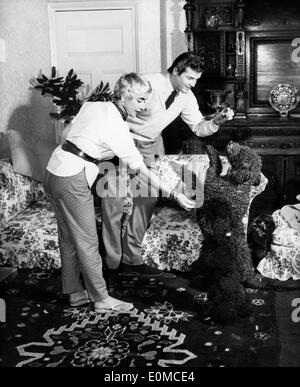 L'acteur Roger Moore et son épouse Dorothy Squires jouant avec leurs chiens Banque D'Images