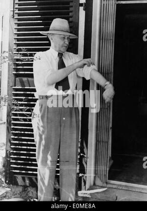 Dr. Konrad Adenauer travaille dans son jardin Banque D'Images