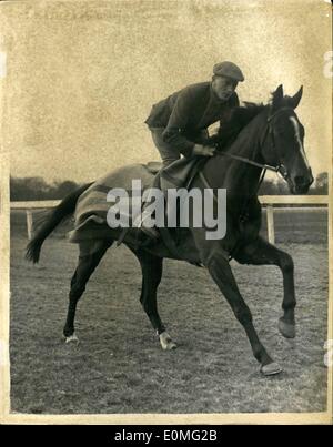 Mar. 03, 1955 - Grand National Candidat à l'exercice : Photo montre peu Yid, formés par R. Renton, vu monté ici par Jimmy Fitzgerald, au cours de l'effort à Ripon racecourse - lors de la préparation pour le Grand National, pour être exécuté à Aintree, Liverpool, le 26 mars. Banque D'Images