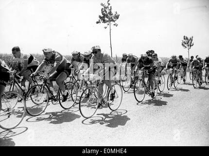 Louison Bobet cycliste en compétition dans une course de vtt Banque D'Images