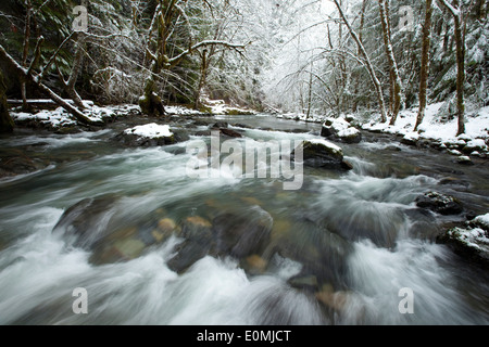 Les eaux glacées du fleuve depuis la ligne rush neige-couvertes de forêts sempervirentes, Oregon, USA Banque D'Images