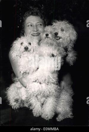 03 déc., 1955 - Dog Show ouvre à Paris : une exposition canine est aujourd'hui détenu à la salle Wagram, Paris, Laure Diana, chanteuse de cabaret, avec ses caniches. Banque D'Images