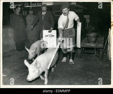 Le 12 décembre 1955 - L'humoriste Jimmy Edwards expose ses porcs à l'Smithfield Show. Photo montre le comédien populaire Jimmy Edwards vu sur la gauche comme il l'aide un stockman guider ses deux grands blancs à leur stylo - en préparation pour le spectacle de Smithfield qui ouvre à Earl's Court aujourd'hui. Banque D'Images