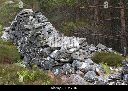 Un vieux mur de pierres sèches dans les Highlands écossais, le parc national de Cairngorm, l'Écosse, de l'Europe Banque D'Images