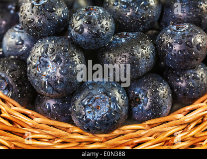 Bleuets frais avec de l'eau gouttes dans panier en osier. Banque D'Images