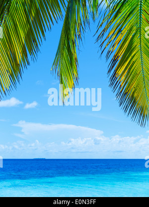 Beau paysage tropical, l'abstract frontière naturelle, feuilles de palmier vert frais sur seascape merveilleuse vacances d'été, Banque D'Images