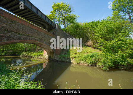 Rudgwick, West Sussex, UK, 16 mai 2014. Débit lent soleil River Arun s'exécute sous un pont de chemin de fer à deux niveaux construite en 1865. Le pont porte maintenant le sentier sur le lien Downs Arun et est entouré par les forêts Crédit : Malcolm Park editorial/Alamy Live News Banque D'Images