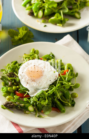 Scafata sain avec un oeuf poché et asperges Banque D'Images