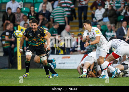 Northampton, Royaume-Uni. 16 mai, 2014. Ben YOUNGS de Leicester Tigers tourne un col comme Phil Dowson de Northampton Saints ressemble au cours de l'Aviva Premiership Match Play Off entre Northampton Saints et Leicester Tigers à Franklins Gardens. Score final : Northampton Saints 21-20 Leicester Tigers. Credit : Action Plus Sport/Alamy Live News Banque D'Images