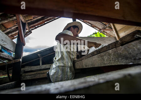 Jardin, Département d'Antioquia, en Colombie. Mar 20, 2014. Mars, 20, 2014 - Fabio Alonso Cano Reyes travaille sur le traitement du café sur sa ferme, le Finca La Siemeona ce qui n'est que d'environ 5 acres dans la région de Antioquia Colombie Ministère.story Résumé :.profondément dans les vallées verdoyantes de la région d'Antioquia Ministère est Fabio Alonso Cano Reyes's Coffee finca. Finca La Siemeona a été dans la famille Cano depuis des générations. Lui et deux travailleurs de la ferme 5 hectares de terrain que ses ancêtres, bean par bean. C'est une tradition qui s'est effrité au milieu des techniques agricoles modernes de cette récolte q Banque D'Images