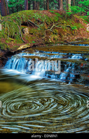 Les eaux tourbillonnantes d'un petit ruisseau dans New York Colden Banque D'Images