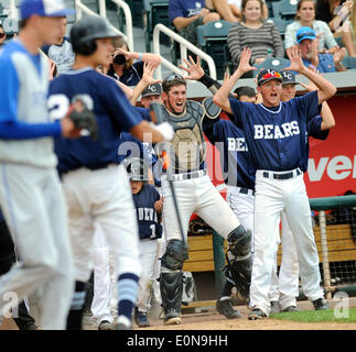 Albuquerque, NM, USA. 16 mai, 2014. La cueva est un des signaux pirogue leurs joueurs après qu'il se soit fait sur la base et conduit à une course dans le match contre Carlsbad. Le jeudi 15 mai 2014. © Jim Thompson/Albuquerque Journal/ZUMAPRESS.com/Alamy Live News Banque D'Images