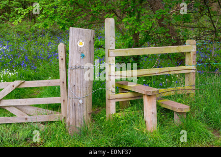 Un style et clôture sur le bord d'un champ en bordure d'un bois à Bridgnorth, Shropshire, Angleterre Banque D'Images