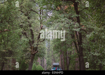 Voiture roulant à travers la forêt en parc national Banque D'Images