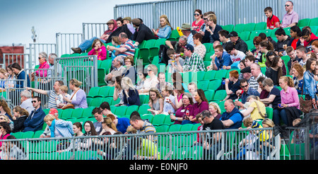 Au CSO 2014 Balmoral Show, le Labyrinthe Lisburn, Irlande du Nord. Les spectateurs dans le peuplement Banque D'Images