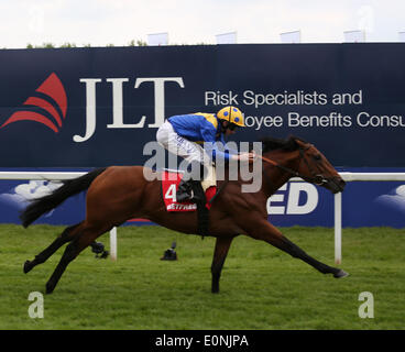 Belfast, Royaume-Uni. 17 mai, 2014. Cannock Chase sous Ryan Moore remporte la Gold Cup Londres Betfred durant la journée 2014 JLT Lockinge Stakes de Newbury. Credit : Action Plus Sport Images/Alamy Live News Banque D'Images