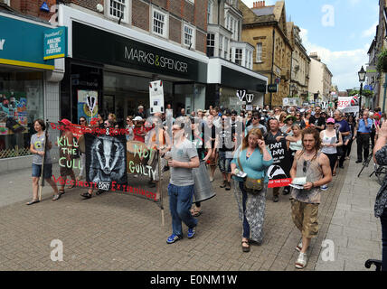 Réforme anti-blaireau de protestation, Dorset, Angleterre, Royaume-Uni Banque D'Images