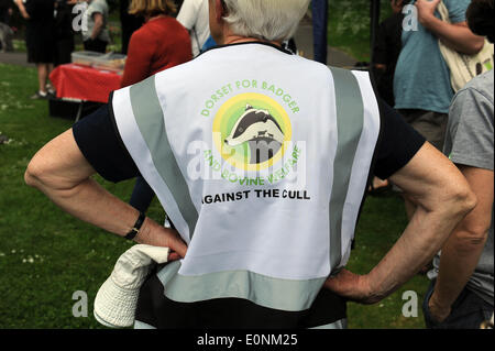 Réforme anti-blaireau de protestation, Dorset, Angleterre, Royaume-Uni Banque D'Images