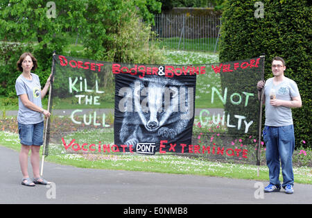 Réforme anti-blaireau de protestation, les manifestants tiennent une bannière, Dorset, Angleterre, Royaume-Uni Banque D'Images