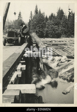 Voir des billes en cours de déchargement du camion dans l'eau Banque D'Images