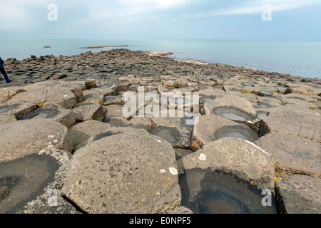 Des géants sur la côte d'Antrim, Irlande du Nord, Royaume-Uni, site du patrimoine mondial de l'UNESCO. Banque D'Images