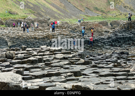 Les touristes à la découverte de la Giant's Causeway, comté d'Antrim, en Irlande du Nord, au Royaume-Uni, un célèbre site du patrimoine mondial de l'UNESCO. Banque D'Images