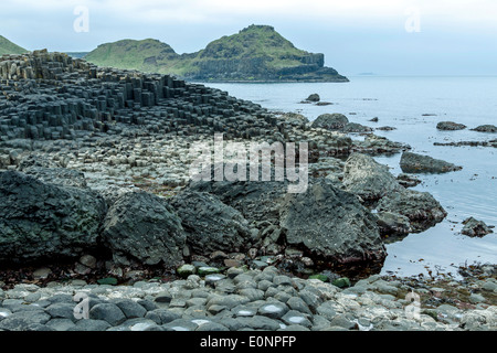 Giant's Causeway, un célèbre site du patrimoine mondial de l'UNESCO, situé sur la côte d'Antrim en Irlande du Nord, Royaume-Uni. Banque D'Images