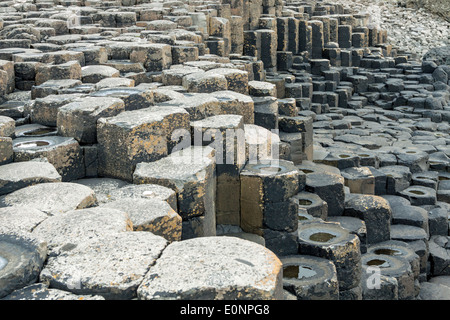 Imbrication des tremplins à la Chaussée des géants sur la côte d'Antrim, Irlande du Nord, Royaume-Uni, site du patrimoine mondial de l'UNESCO. Banque D'Images