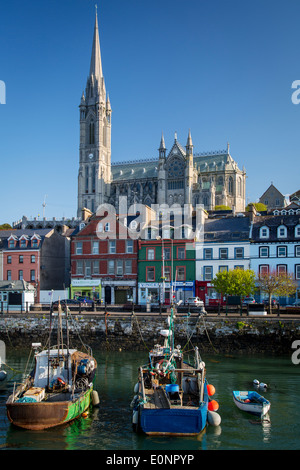 Bateaux de pêche et la Cathédrale St.-dessous Coleman la ville de Cobh, Irlande Irlande Banque D'Images