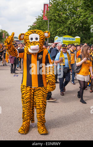 Le stade de Wembley, Londres, Royaume-Uni, 17 mai 2014. Finale de la FA Cup entre Arsenal et Hull City FC. Un ventilateur de Hull City, vêtu comme un tigre, l'extérieur du stade avant le match. Crédit : Stephen Chung/Alamy Live News Banque D'Images