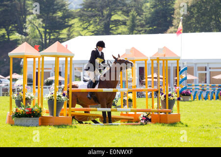 ‎Chatsworth, Bakewell, Derbyshire, Royaume-Uni. 17 mai, 2014. Elmfield équitation Pashby Victoria au cours de la Section d'Orlando Novice de saut dans l'arène principale à Chatsworth International Horse Trials 2014 Credit : Tout4 Photographie/Alamy Live News Banque D'Images