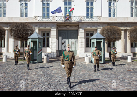 Changement de la garde au château de Budapest Banque D'Images