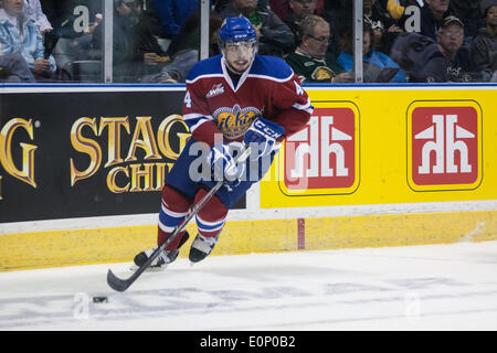 London, Ontario, Canada. 17 mai, 2014. Blake Orban des Oil Kings d'Edmonton comporte la rondelle lors de leur match de la coupe Memorial 2014 joué au John Labatt Centre à London, en Ontario, Canada le 17 mai 2014. Le Storm de Guelph a défait les Oil Kings d'Edmonton par la marque de 5-2. Credit : Mark Spowart/Alamy Live News Banque D'Images