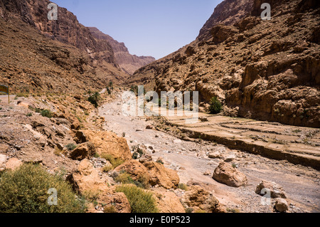 Les plantations et lit de rivière à sec dans les Gorges de Todra près de Tinehir dans les montagnes du Haut Atlas du Maroc, l'Afrique Banque D'Images