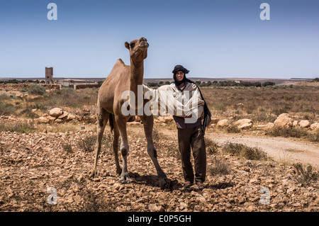 L'homme en robe traditionnelle berbère avec un chameau près de Marrakech-Tensift-Al Haouz, Maroc, Afrique Banque D'Images