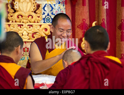 (140518) -- BEIJING, 18 mai 2014 (Xinhua) -- le 11e Panchen-Lama Bainqen Erdini Qoigyijabu bénédiction donne aux moines qu'il reçoit l'hommage du Bouddhisme Tibétain d'universitaires de haut niveau au collège le bouddhisme tibétain de la Chine, à Beijing, Chine, le 18 mai 2014. Ces chercheurs : les moines qui ont été offertes les 'Tho Ram Pa' degré (un des plus hauts grades universitaires dans le bouddhisme tibétain) et le 'Nzhing Ram Pa' degré (un diplôme universitaire de niveau intermédiaire dans le bouddhisme tibétain) et des juges de la Ram 'Tho Pa' degré. La cérémonie des diplômes a eu lieu au collège le dimanche. (Xinhua/Xie Huanchi) (zc) Banque D'Images